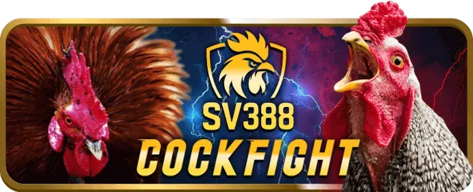Đội ngũ chuyên gia tận tâm của Win55