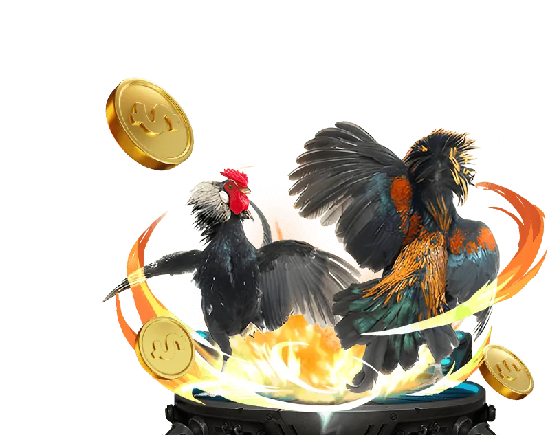 Khuyến mãi Win55